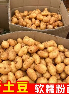 贵州毕节农家自种黄心土豆