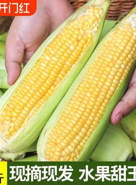 新鲜玉米带皮现摘水果玉米香甜爆浆蒸煮可生吃甜玉米脆甜可口爆汁