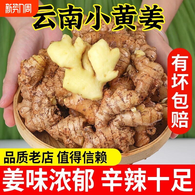 云南小黄姜新鲜老姜生姜现挖高山沙姜种子蔬菜9斤食用自种年货节