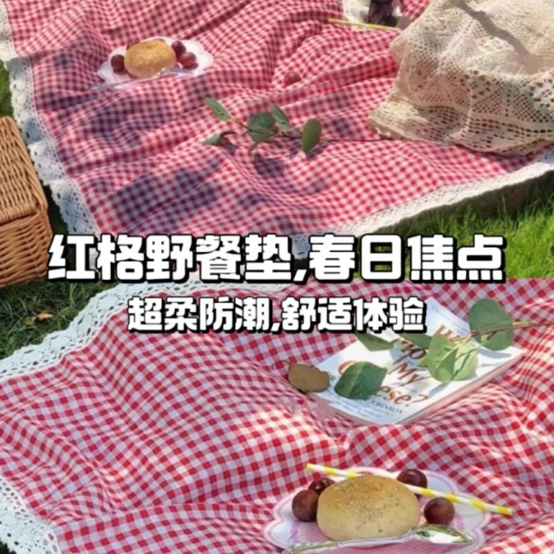 蕾丝边野餐垫创意法式复古红格纹餐布女生布艺氛围感春游拍照道具