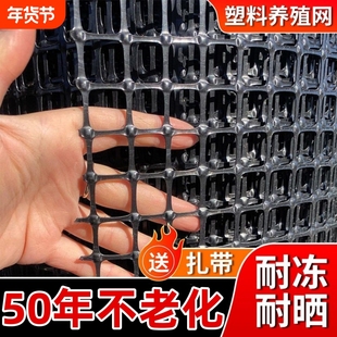 塑料围栏网养殖网圈山圈地圈果菜园格栅网格网塑胶栏土工格栅玉米