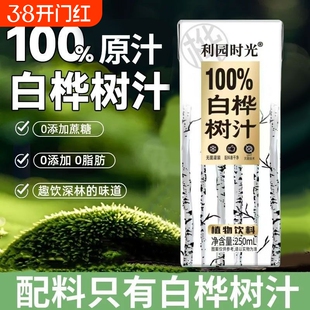 饮料白桦树汁100％天然nfc原汁健康0脂无添加森林植物整箱饮品