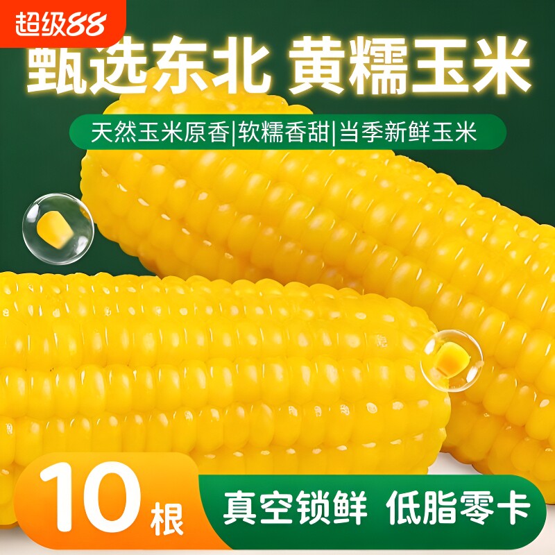 东北黄糯玉米棒真空软糯香甜现摘新鲜黏玉米粗粮加热即食早餐粒粒
