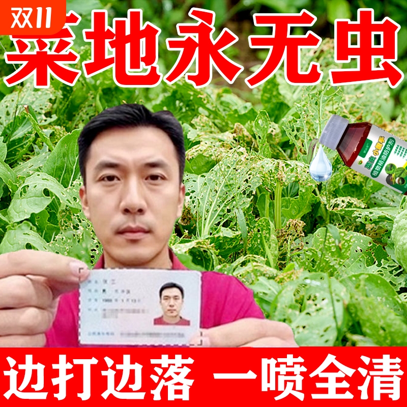 菜虫蔬菜除虫剂无毒菜园专用白菜青菜地蜗牛蚂蚁特效专用打虫药水