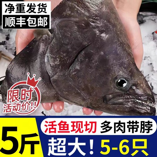 碟鱼头冷冻鲽鱼头鸦片鱼头深海新鲜比目鱼商用批发蝶鱼头海鲜鱼身
