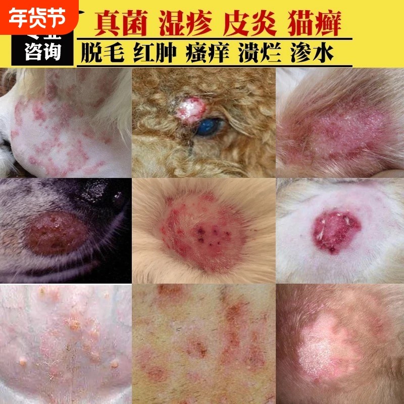 宠物沐浴露狗狗猫咪沐浴液除螨去油止痒药浴液抑菌止痒消毒真菌液,宠物/宠物食品及用品,狗香波浴液,淘宝优惠券,粉丝福利购,淘宝优惠卷