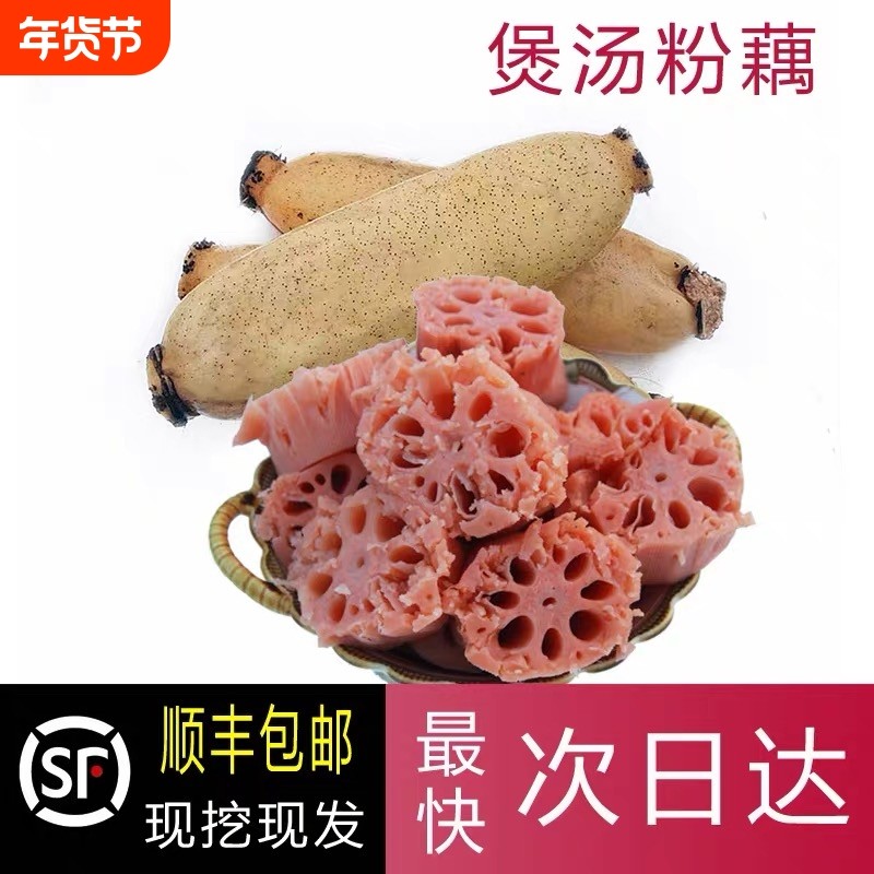 顺丰包邮洪湖粉藕新鲜煲汤莲藕粉糯排骨汤糯米藕湖北粉藕现挖粉藕,水产肉类/新鲜蔬果/熟食,莲藕,淘宝优惠券,粉丝福利购,淘宝优惠卷