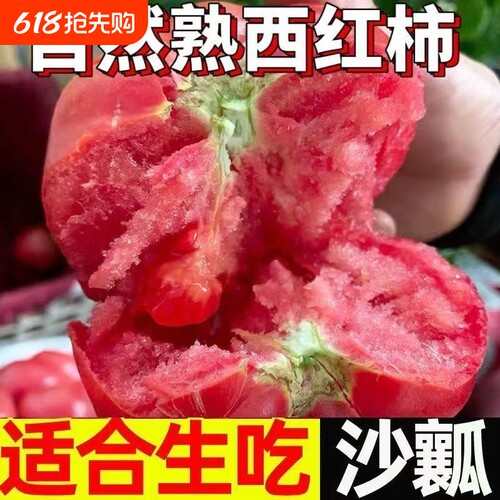 甘肃沙漠当季新鲜沙瓤西红柿