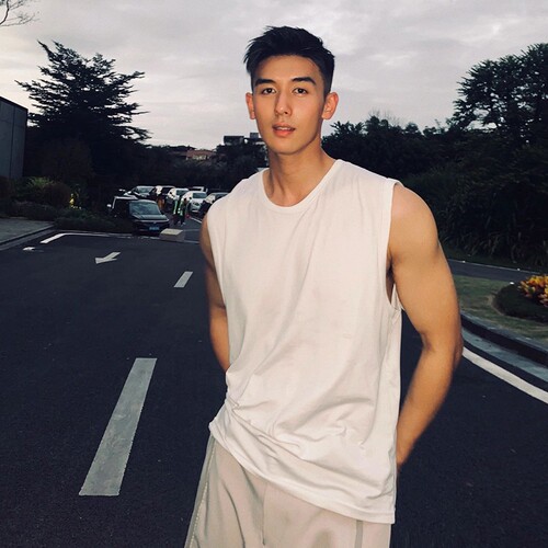 2026新款纯棉重磅背心男宽松坎肩