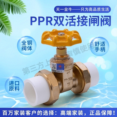 天一 金牛 PPR双活接闸阀 活接阀门全铜PPR活接阀门 全铜截止闸阀