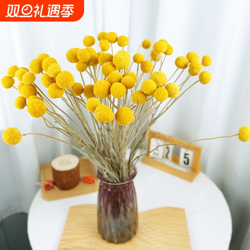 黄金球干花花束装饰品摆件满天星插花天然风干真花材料紫罗兰