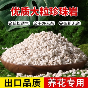 养花专用珍珠岩无尘大颗粒蛭石扦插用多肉育苗兰花植料营养土园艺