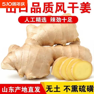 山东大姜优质生姜老姜新鲜大黄姜精品块老生姜老黄姜包邮食用