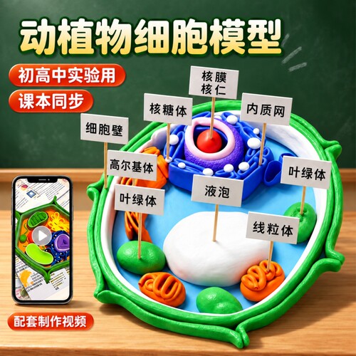 【初高中生物】文具文化手作用品