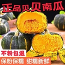 正宗板栗味贝贝小南瓜板栗小南瓜3 9斤老南瓜新鲜蔬菜惠和