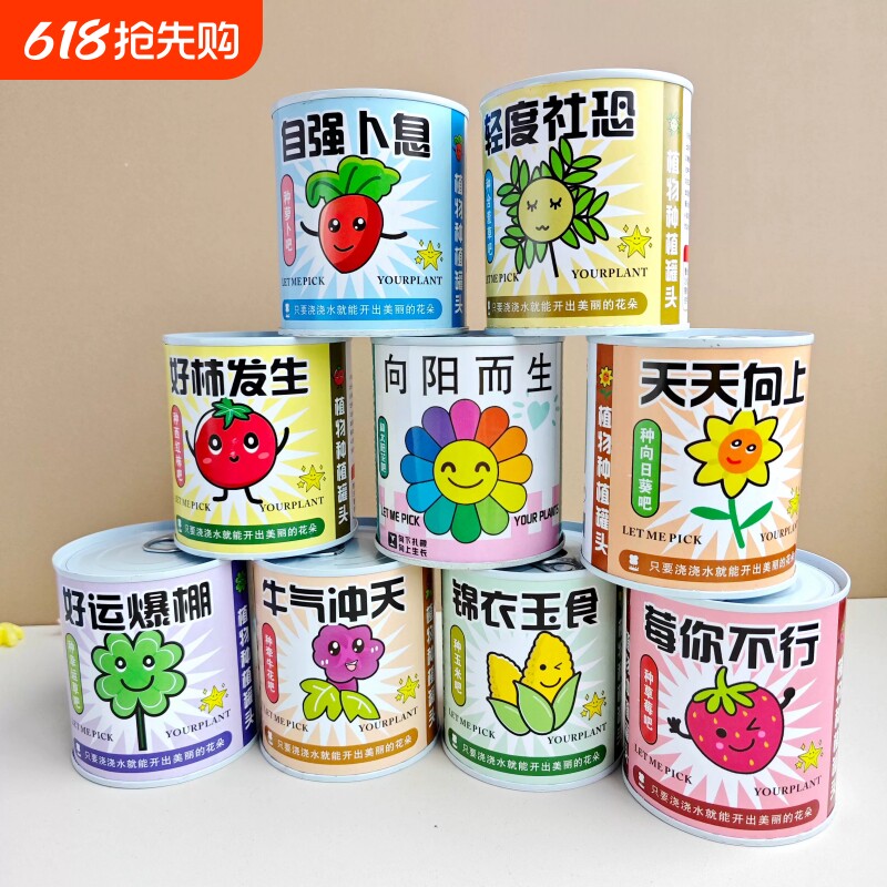 植物罐头盆栽儿童种植观察套装创意礼物桌面罐装绿植种草农场水果