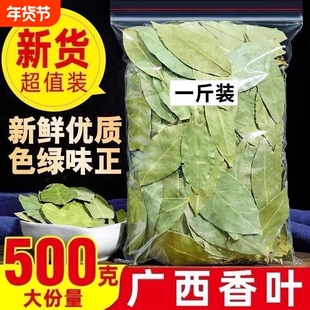 广西香叶香料天然月桂叶500g卤料调料商用可粉料桂皮八角优质新鲜