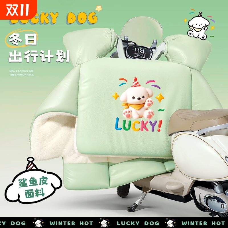 风罩防头部防春秋双面通用摩托风罩电动车大防泼水防寒四季电瓶车