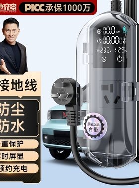 新能源汽车接地宝通用充电转换器小马宏光mini免地线宝通用防雨水