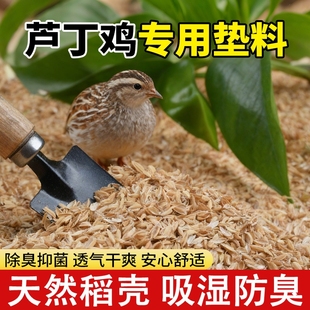 芦丁鸡稻壳垫料专用柯尔鸭发酵床鹌鹑小宠除臭无尘专用垫料谷壳