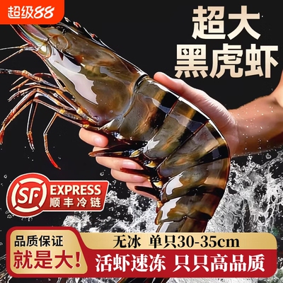 黑虎虾鲜活速冻超大老虎虾特大对虾基围虾鲜虾海虾冷冻竹斑九节虾
