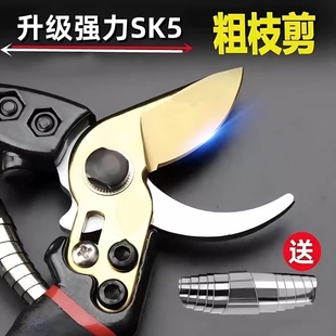 钢粗枝剪修枝剪强力树枝剪工具园艺苹果树剪子修剪弹簧高硬度剪花