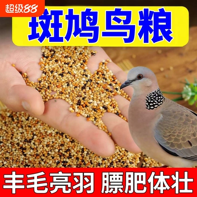 斑鸠专用粮食幼鸟五色黍子饲料投喂谷物鸽子小颗粒通用营养鸟饲料