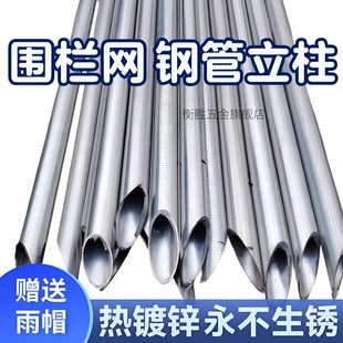 热镀锌钢管立柱养殖网立杆铁丝网加厚尖头铁丝围栏网栏杆围墙庭院