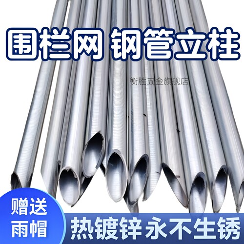 热镀锌钢管立柱养殖网立杆铁丝网加厚尖头铁丝围栏网栏杆围墙圆管