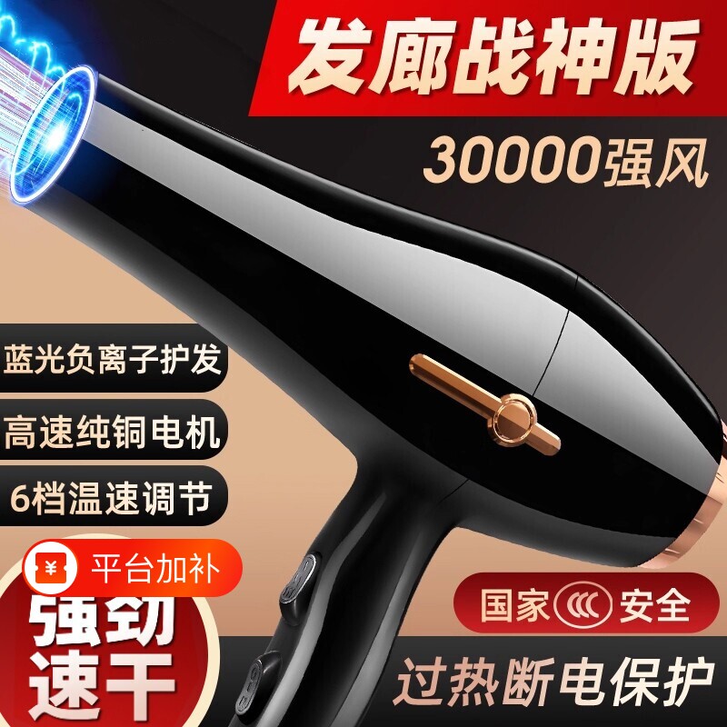 家用发廊专用大功率负离子吹风机大风力速干护发电吹风宿舍高速