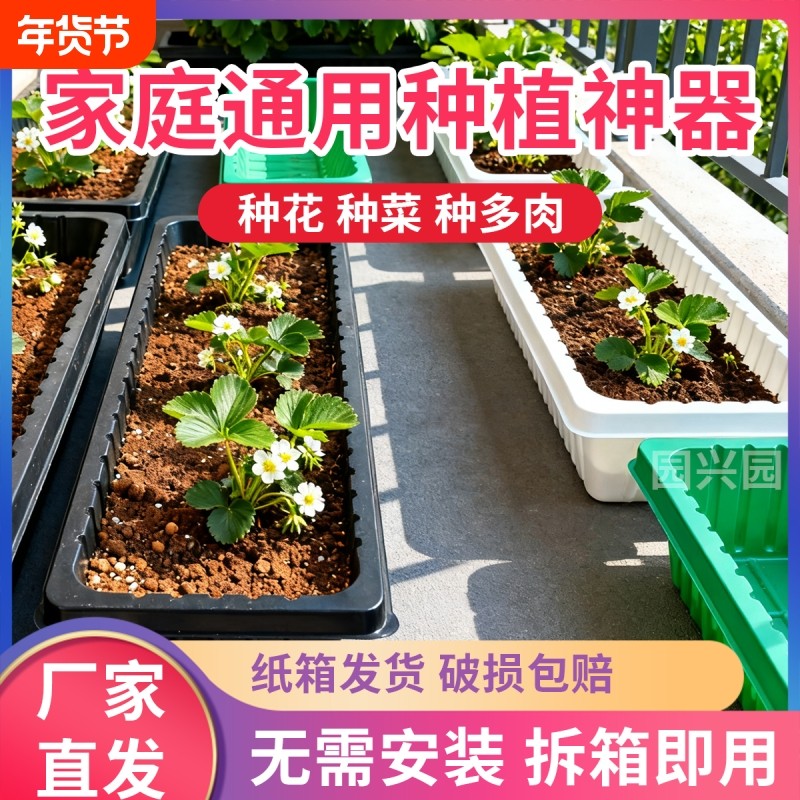 家用阳台种菜盆条形盆多肉种植蔬菜育苗长方形室内种花窗台养花,鲜花速递/花卉仿真/绿植园艺,花盆,淘宝优惠券,粉丝福利购,淘宝优惠卷