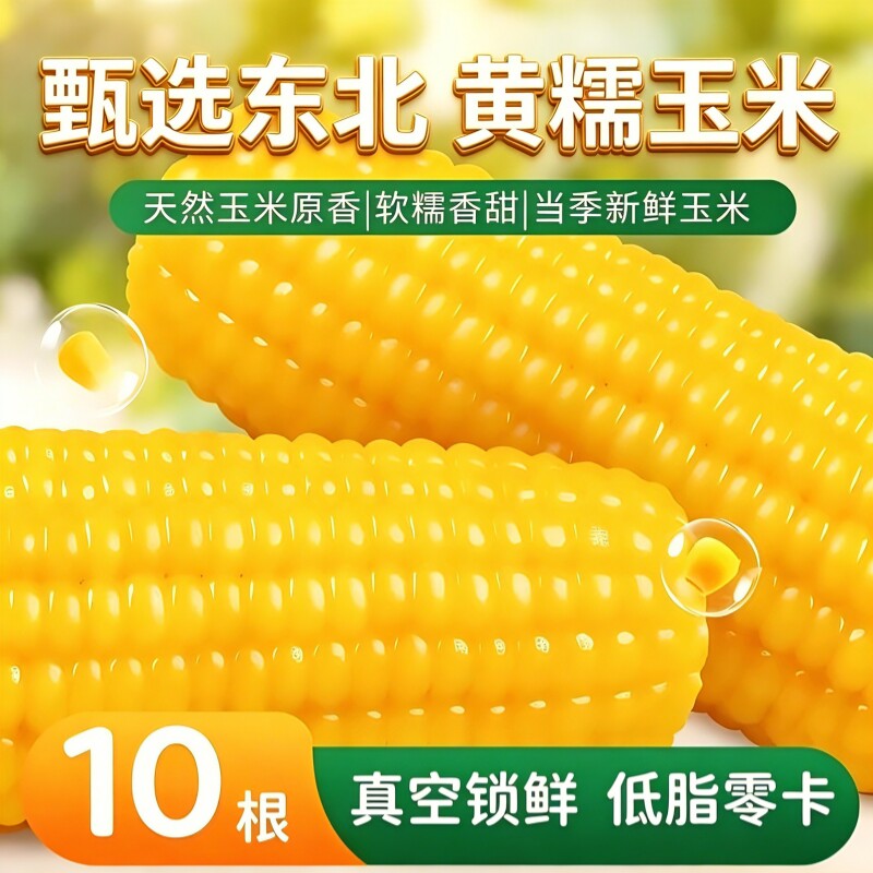 当季东北黄糯玉米棒粘糯玉米批发加热即食真空装玉米代餐早餐粗粮
