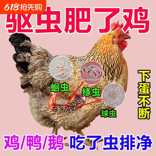 鸡寄生虫驱虫药鸡体内外驱鸡鸭鹅