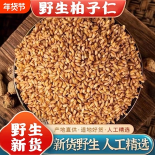 正品深山野生柏子仁的功效与作用中药材泡水喝睡眠官方旗舰店新货