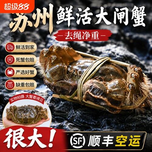 苏州鲜活大闸蟹公母4两10只礼盒