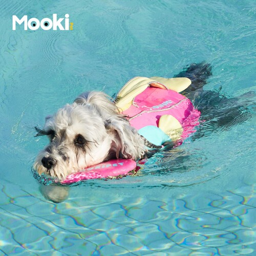 mookipet狗狗大浮力救生衣宠物比熊雪纳瑞小型犬游泳衣服防水牵引