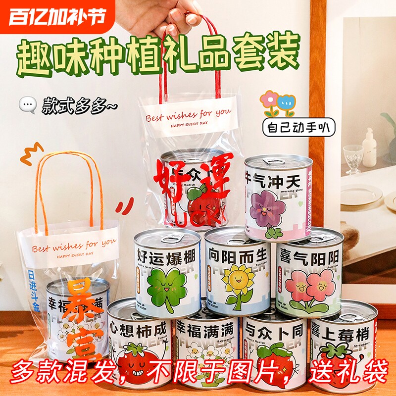 植物盆栽生日创意礼品小学生植物儿童伴手礼幼儿园奖品实用小礼品