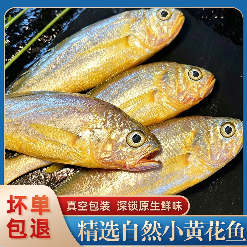 舟山小黄花鱼烧烤专用冰鲜野生深海鲜活黄鱼新鲜冷冻整箱商用批发