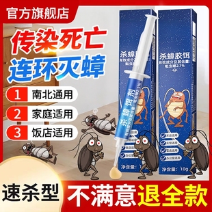 杀蟑胶饵蟑螂药全窝端非正品 驱除灭神器诱饵剂杀蟑螂灭蟑厨房蚰蜒