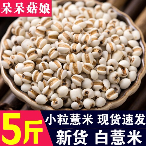 小薏米1斤/2斤/3斤/5斤生白薏米薏仁米薏苡仁小粒白苡米源头工厂