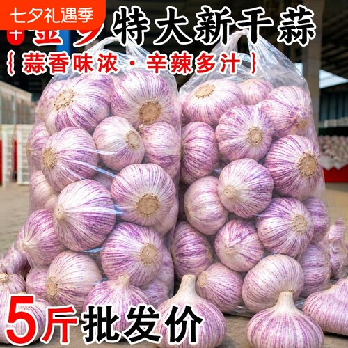 精选山东紫白皮大蒜头新干蒜大果