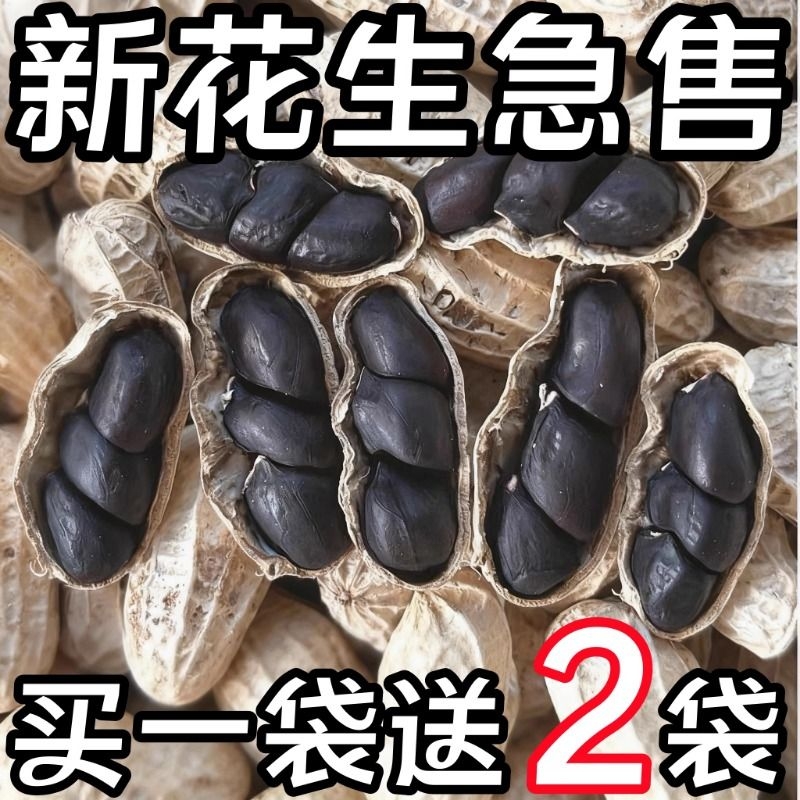 正宗富硒黑花生生制|千人加购