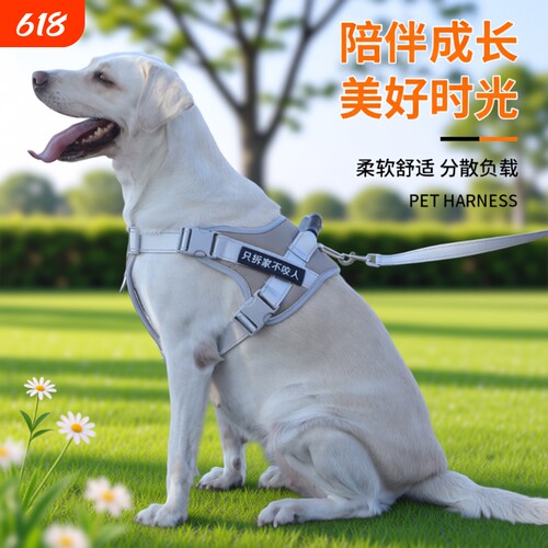 宠物胸背带防爆冲狗狗牵引绳