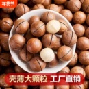 【遇见枣恋】精选奶香大颗粒夏威夷果500g