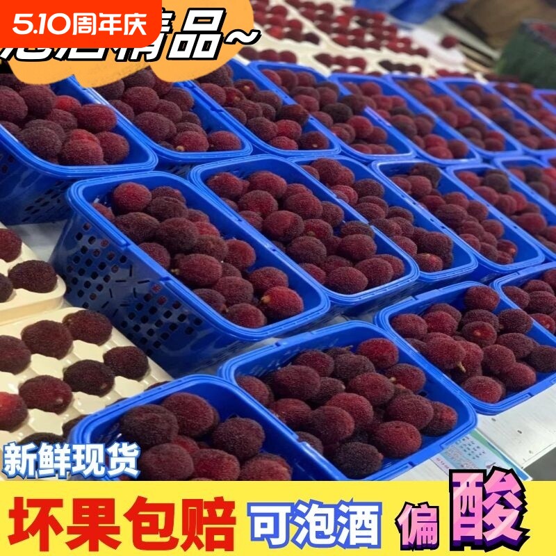 新鲜现摘现发福建浮宫杨梅新鲜杨梅早梅硬丝孕妇水果当季采摘泡酒