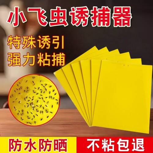 黄板双面粘虫板诱虫板果蝇板大棚果蝇诱捕器农用家用花园强力蚊子