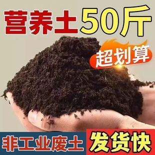 通用型营养土种菜养花专用肥料多肉绿萝土壤种植土阳台蔬菜有机土