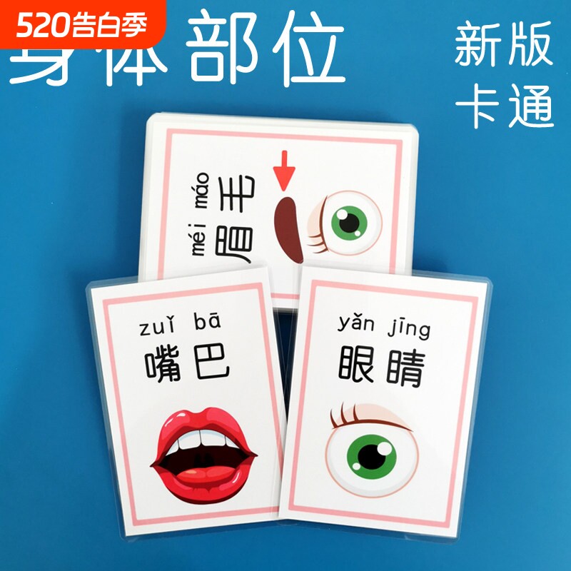 宝宝认知卡片身体各部位名称 带拼音大卡 眼耳口鼻幼儿园教具防水