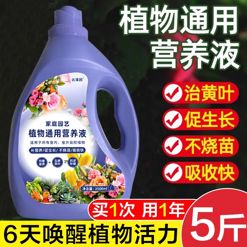 营养液植物通用型绿萝富贵竹发财树多肉水培养花卉绿植盆栽花肥料