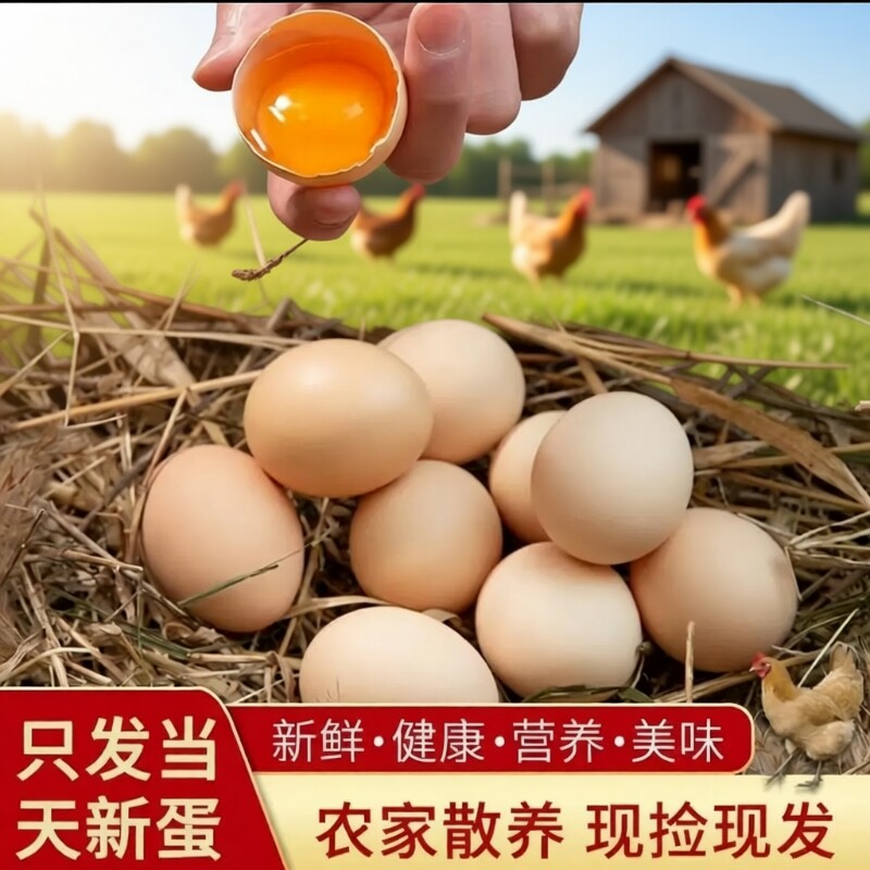 新鲜土鸡蛋正宗农家散养笨鸡蛋谷物喂养草鸡蛋农村柴鸡蛋现捡现发
